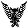 Nightowl
