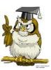 TasOwl